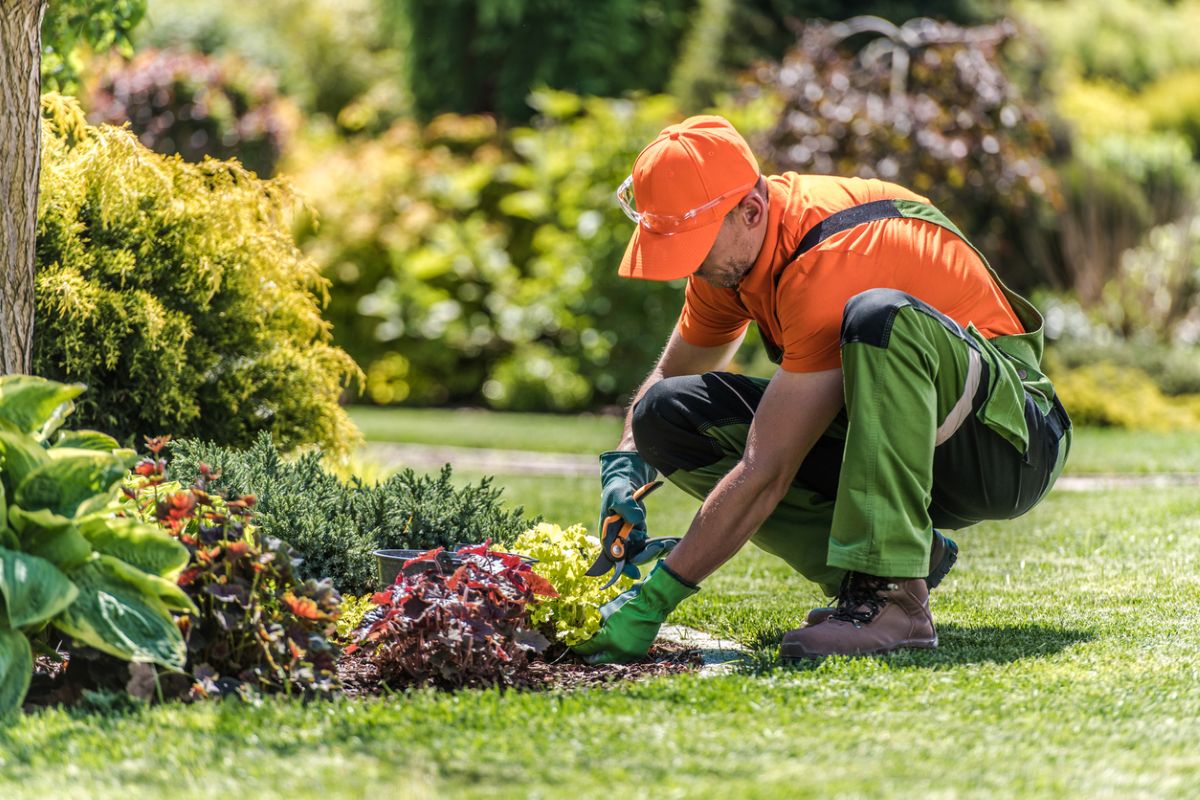 Contractors and supervisors, landscaping, grounds maintenance and ...